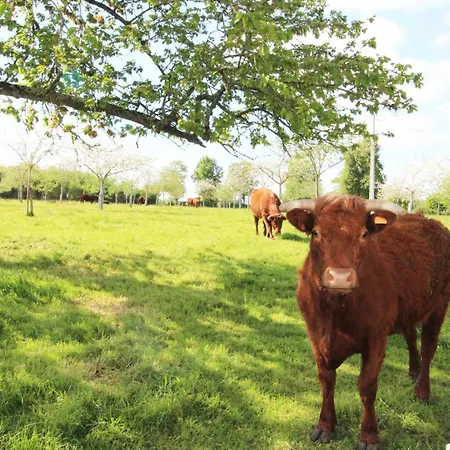 Charmante Maison Renovee A La Ferme Avec Jardin Clos - Fr-1-497-27 בית נופש