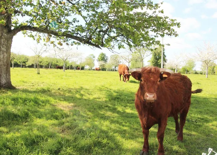 Charmante Maison Renovee A La Ferme Avec Jardin Clos - Fr-1-497-27 Ferienhaus