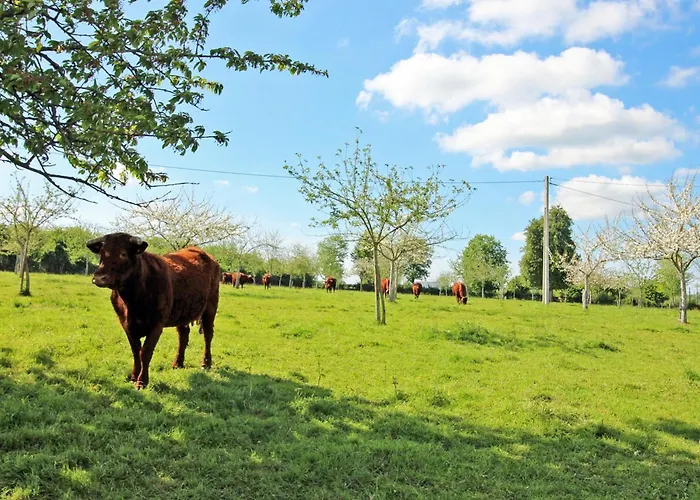 Charmante Maison Renovee A La Ferme Avec Jardin Clos - Fr-1-497-27 * Champosoult